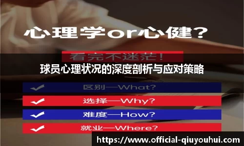 QY球友会体育